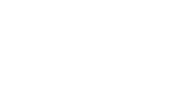 light logo